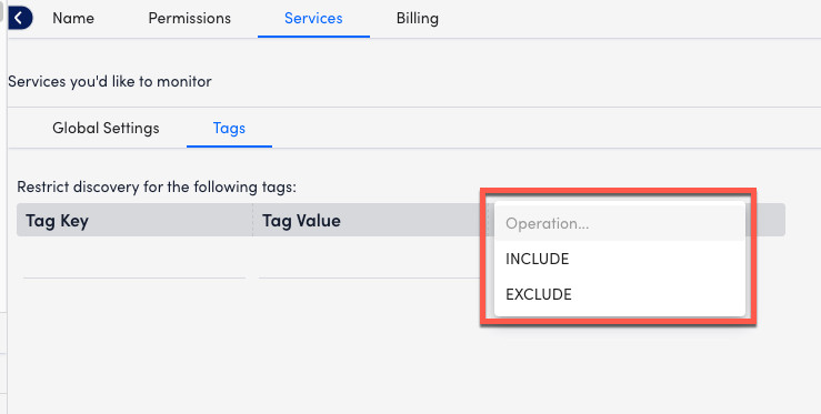 tag option in lm cloud services tab